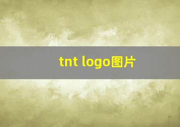 tnt logo图片